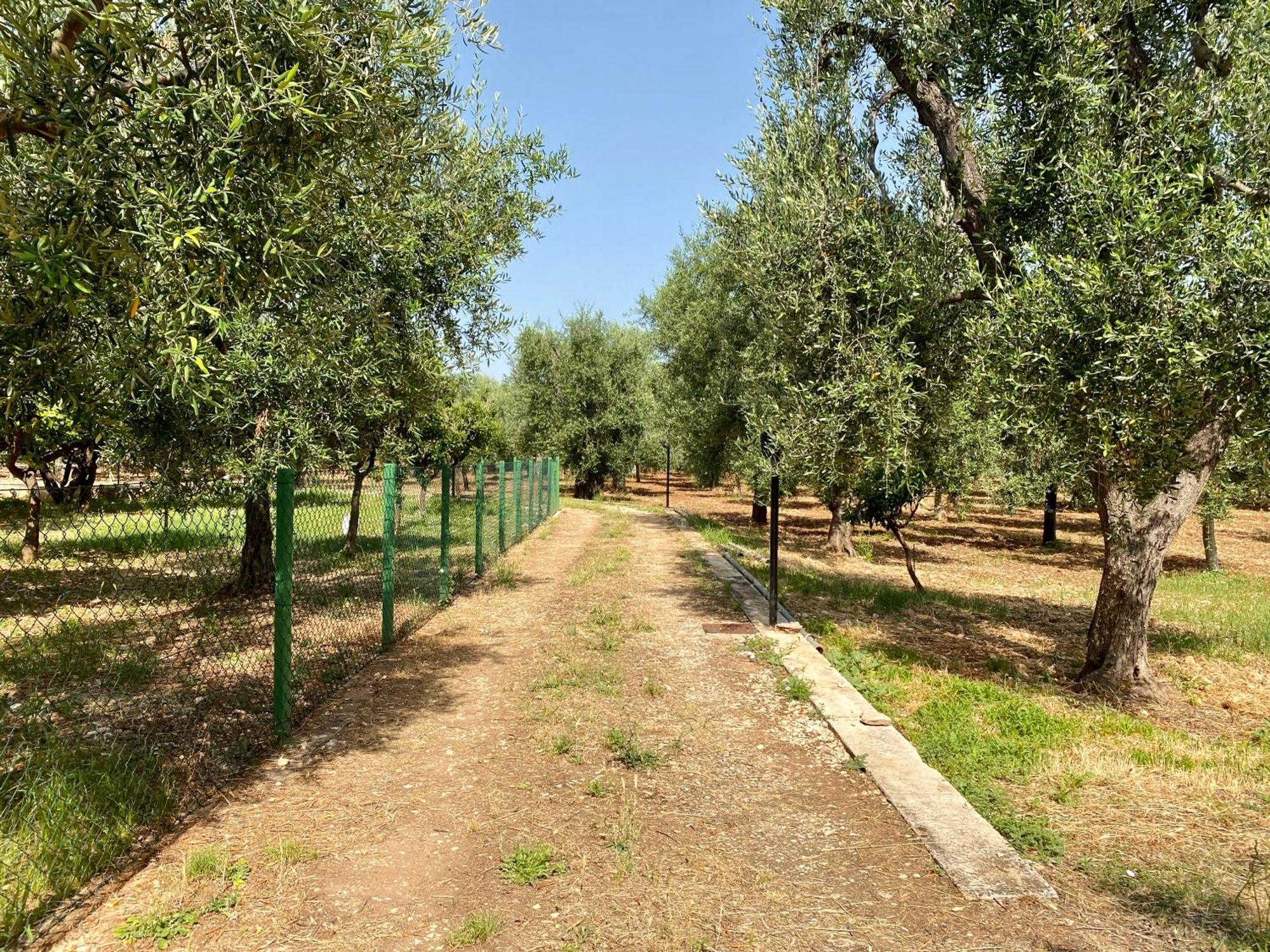 Villetta San Matteo Mattinata Exterior photo
